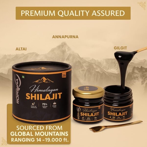 Pure Himalayan Shilajit resign 20g